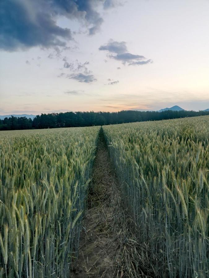 Appartamento Privat Mima Liptovský Trnovec Esterno foto